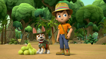 Watch Pups Save the PawPaws/Pups Save the Popped Top. Episode 10 of Season 5.