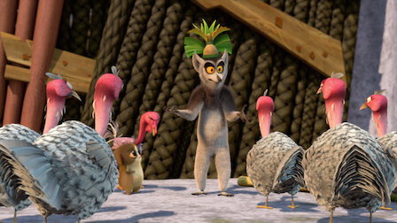 Watch The Jungle Rooster. Episode 5 of Season 4.