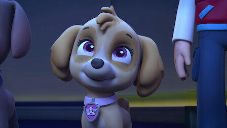 Watch ULTIMATE RESCUE: Pups Save a Runaway Stargazer. Episode 25 of Season 5.